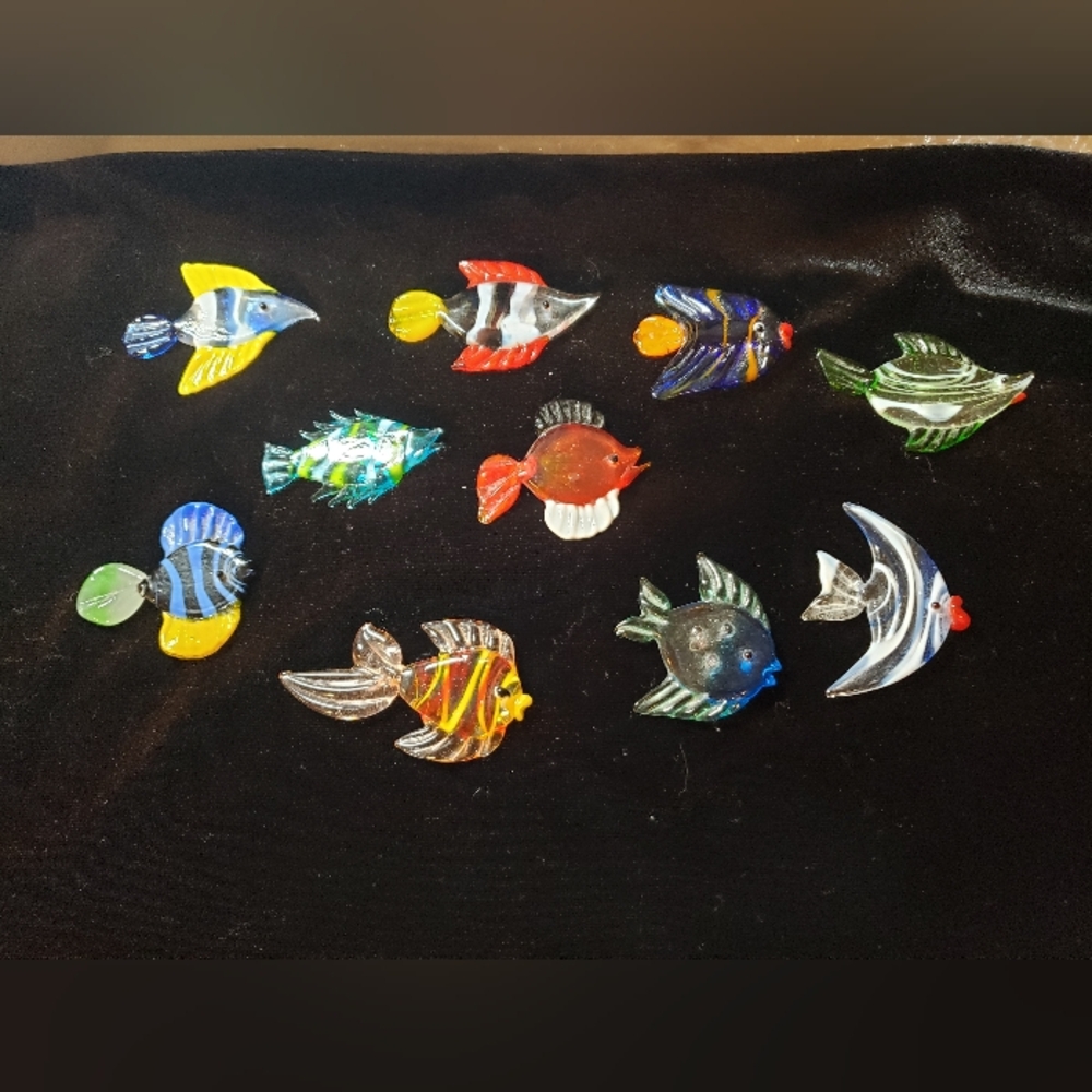 10 🐠 glass fish